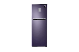 Samsung 253 L 2 Star Inverter Frost Free Double Door Refrigerator